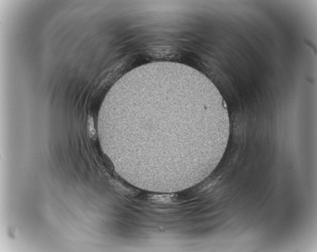 X0000099290089200805301121