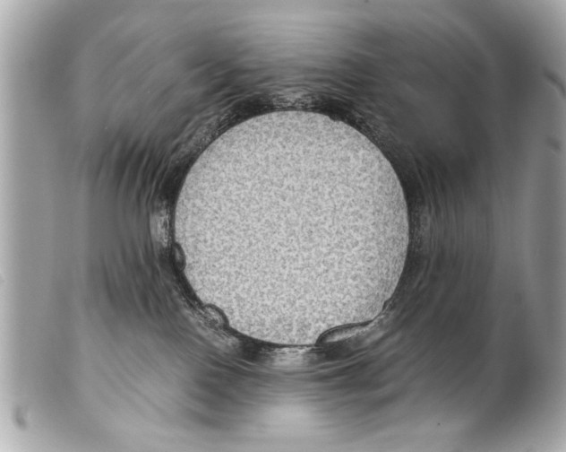 X0000099290090200805301121