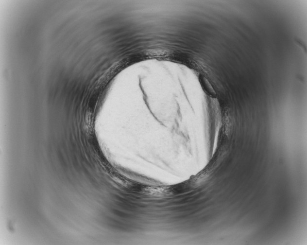 X0000099290093200805301121