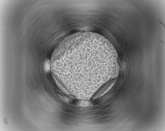 X0000099290095200805301121