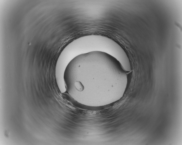 X0000099290096200805301121
