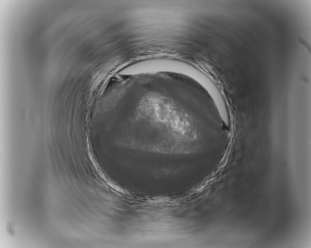 X0000099290097200805301120