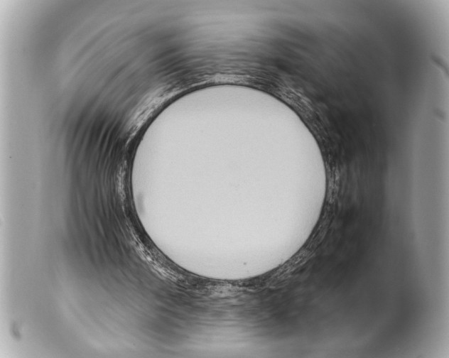 X0000099290098200805301120