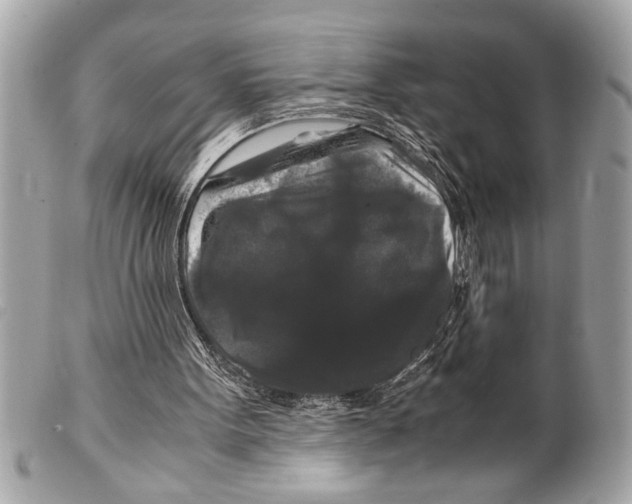 X0000099290099200805301120