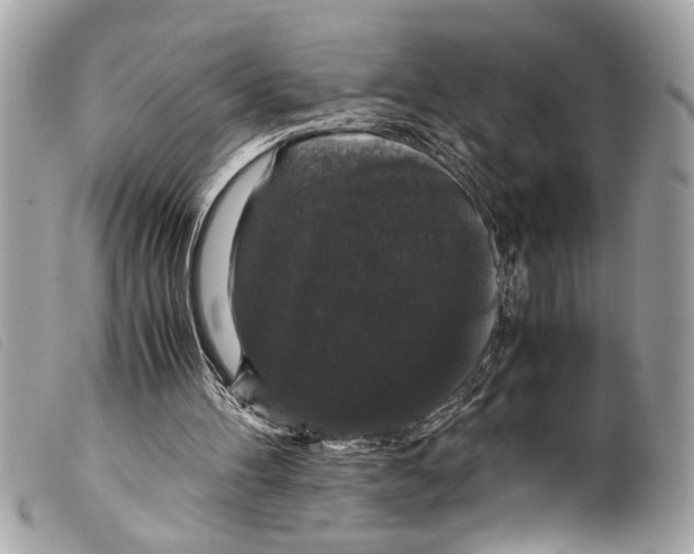 X0000099290100200805301120