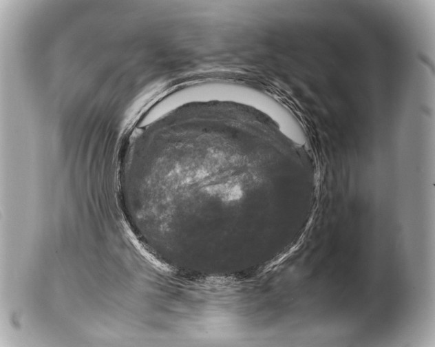 X0000099290101200805301120