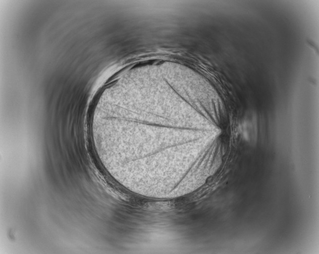 X0000099290102200805301120