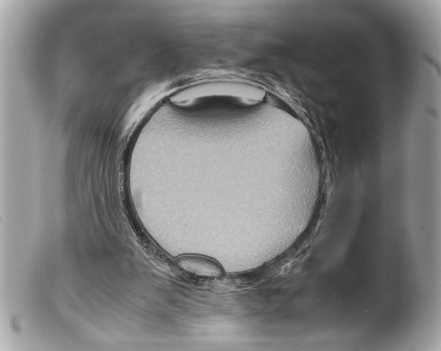 X0000099290103200805301120