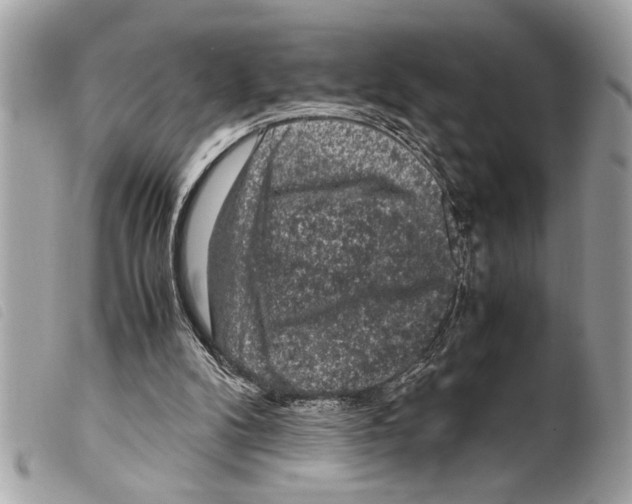 X0000099290104200805301120