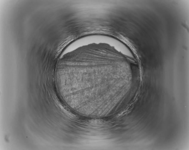 X0000099290105200805301120
