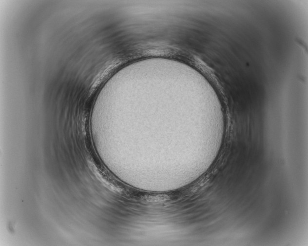 X0000099290106200805301120
