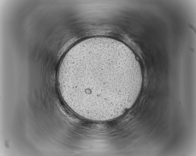 X0000099290107200805301120