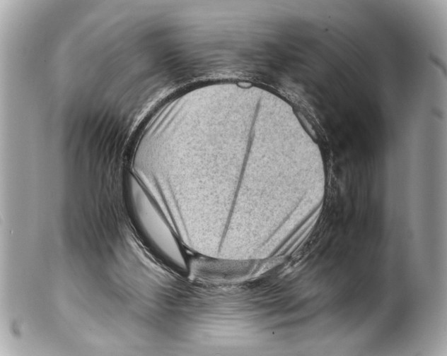 X0000099290108200805301120