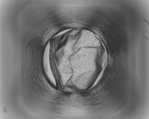 X0000099290109200805301120