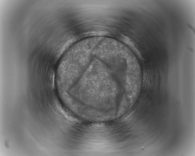 X0000099290110200805301120