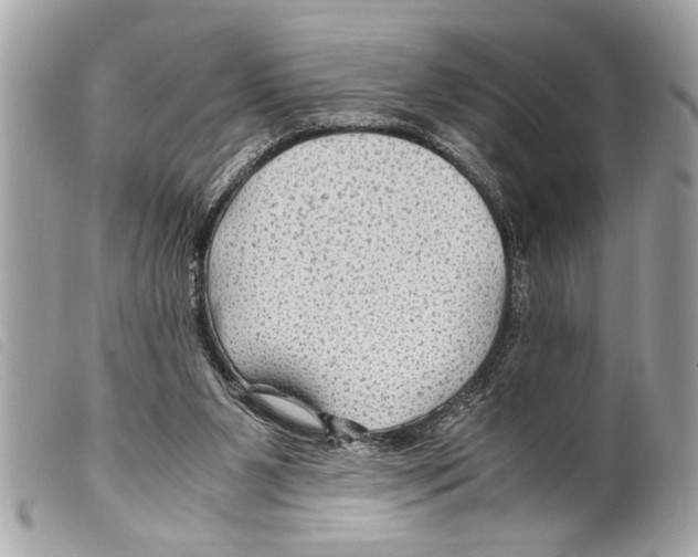 X0000099290111200805301120