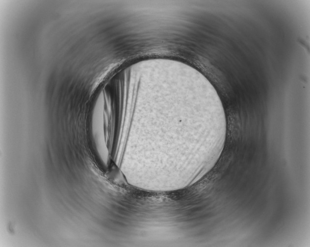 X0000099290112200805301120