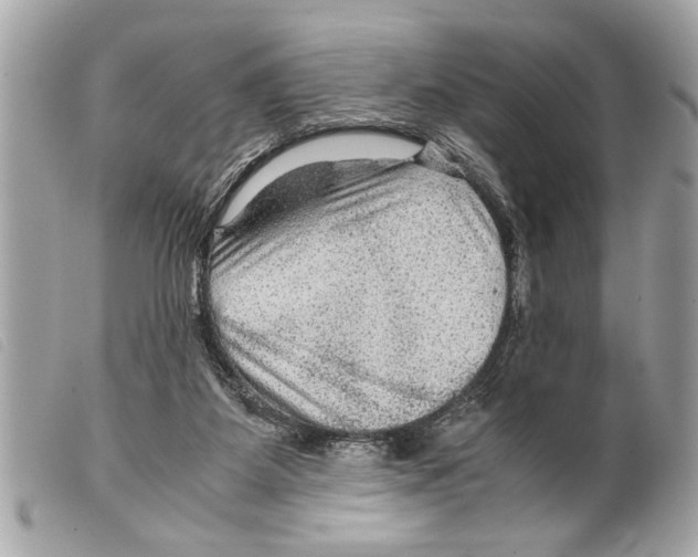 X0000099290115200805301120