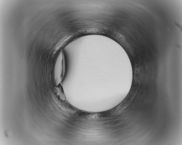 X0000099290116200805301120