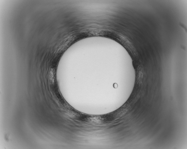 X0000099290121200805301120