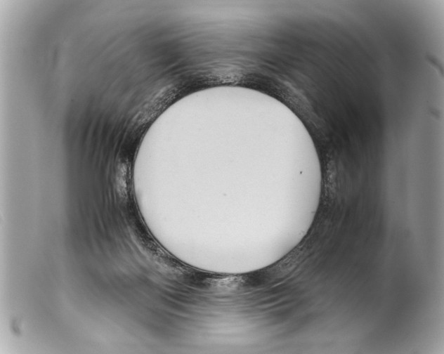X0000099290122200805301120