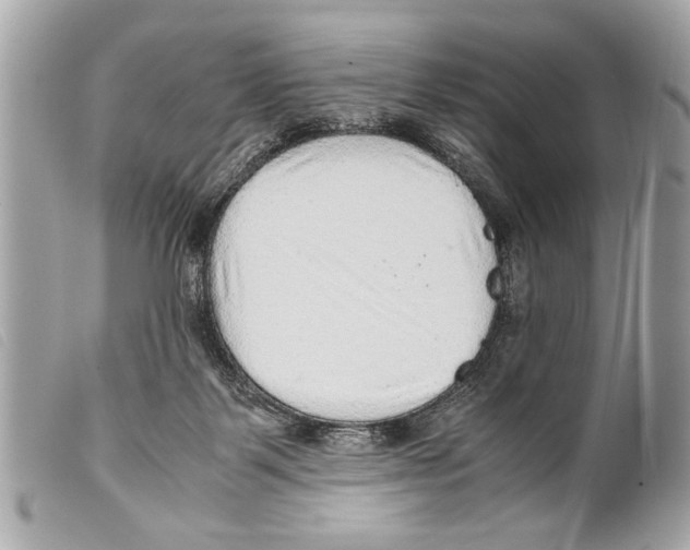 X0000099290123200805301120