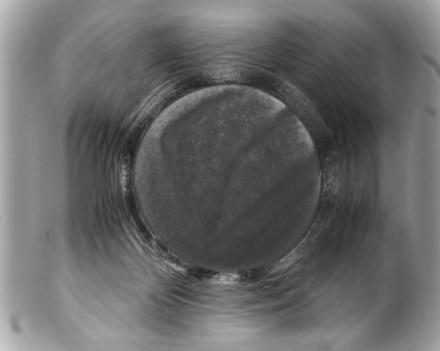 X0000099290124200805301120