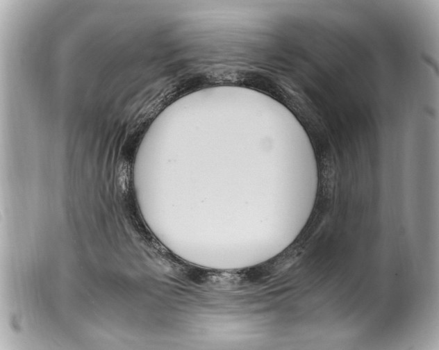 X0000099290125200805301120