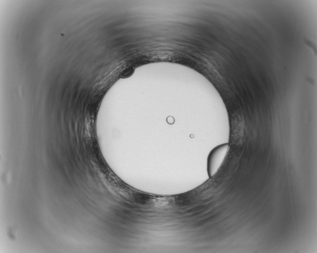 X0000099290126200805301120