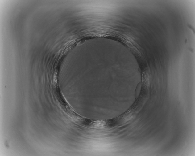 X0000099290127200805301120