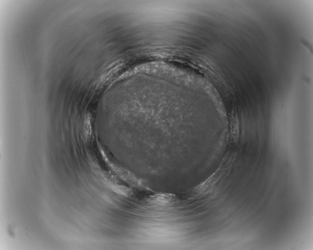 X0000099290128200805301120