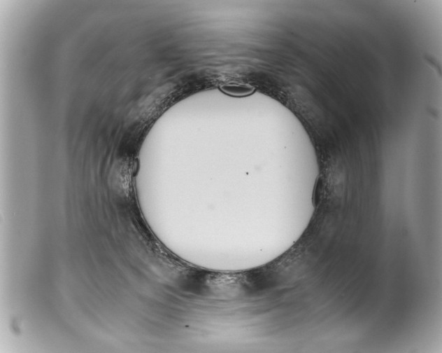 X0000099290129200805301120