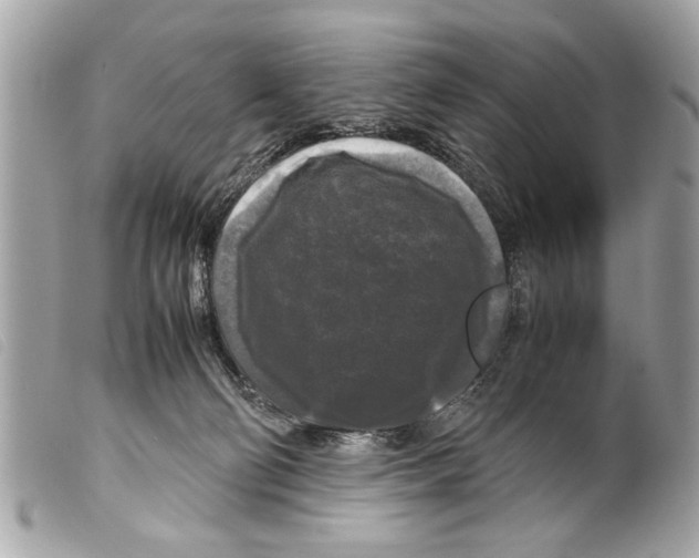 X0000099290130200805301120