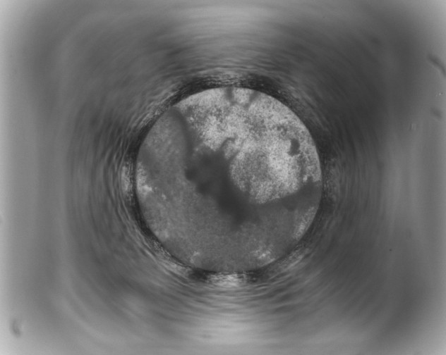 X0000099290131200805301120