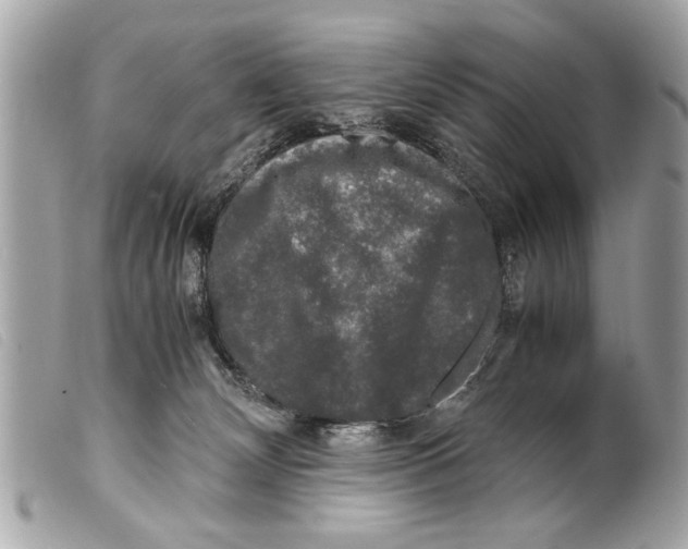 X0000099290132200805301120