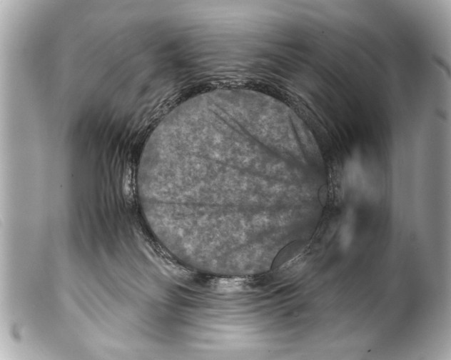 X0000099290134200805301120