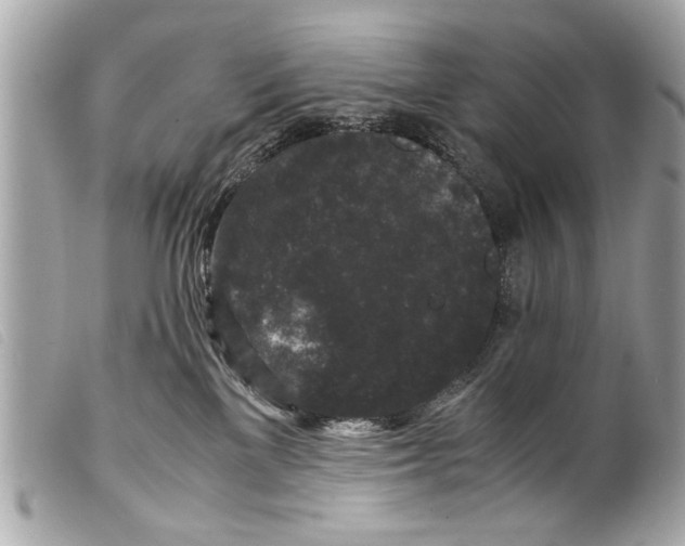 X0000099290137200805301120
