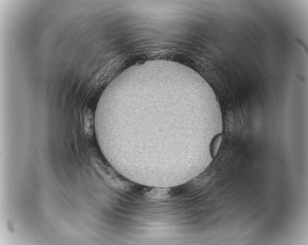X0000099290138200805301120