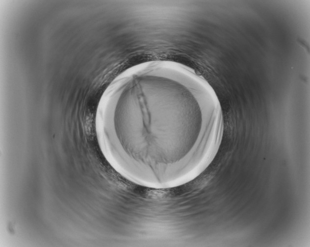 X0000099290139200805301120