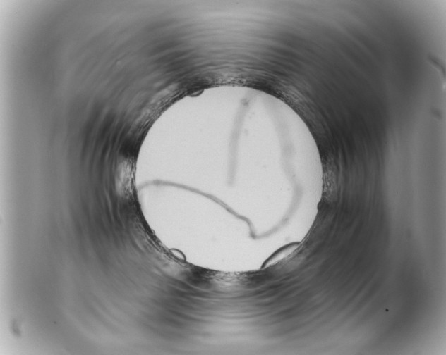 X0000099290142200805301120