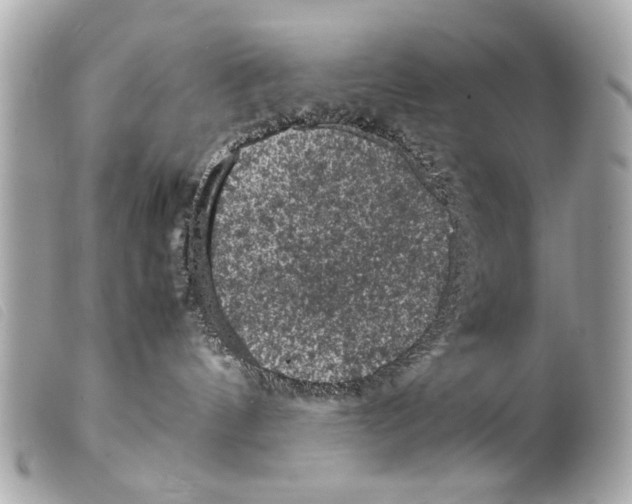 X0000099290144200805301120