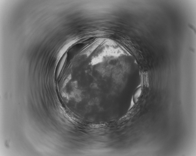 X0000099290147200805301119