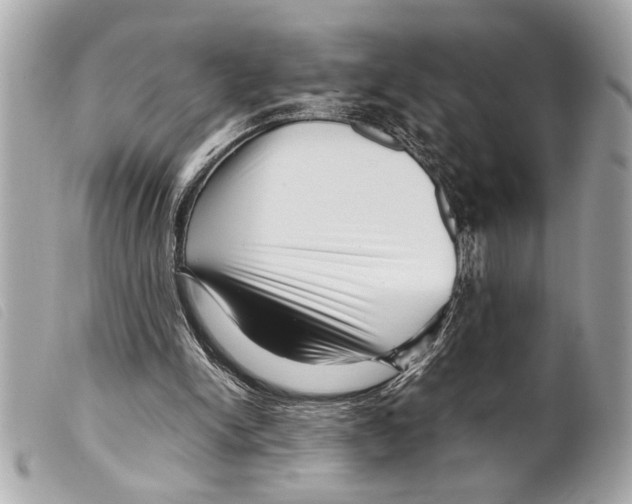 X0000099290150200805301119