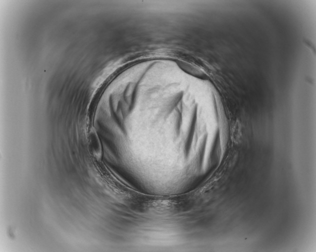 X0000099290152200805301119