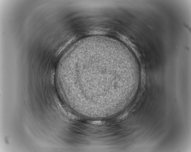 X0000099290153200805301119