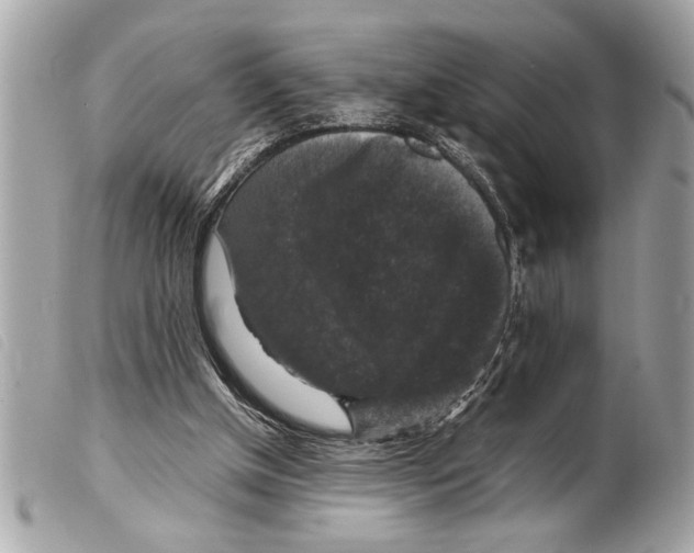 X0000099290154200805301119