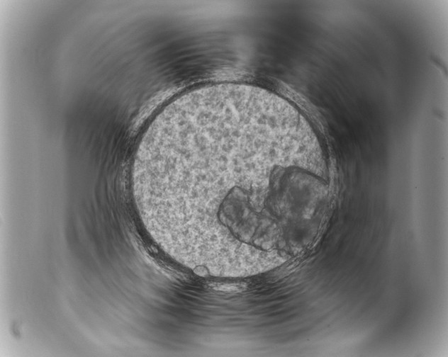 X0000099290155200805301119