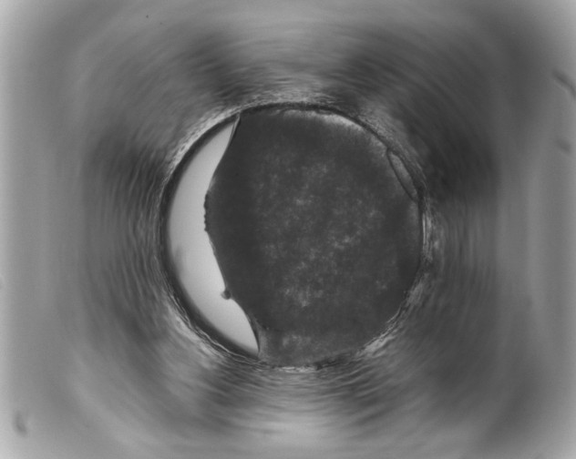 X0000099290156200805301119