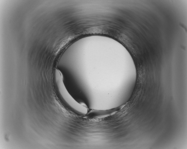 X0000099290160200805301119