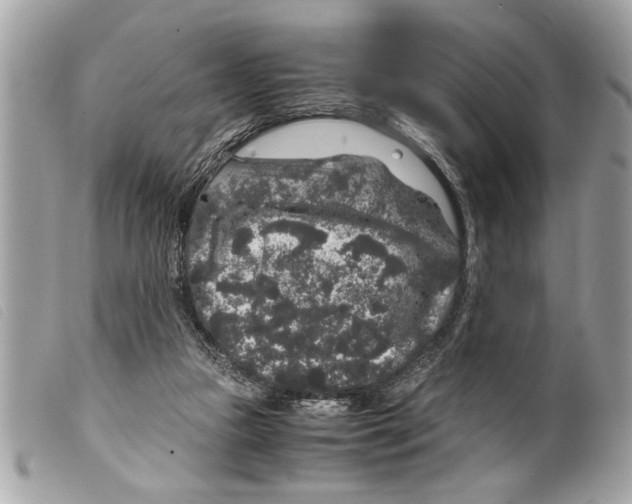 X0000099290161200805301119